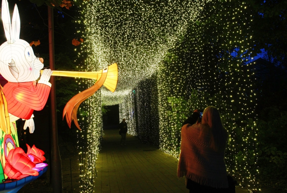 Az Alice Csodaországban tematikájú Garden of Lights kiállítás a budapesti Füvészkertben világító figurákkal, fényfüzérekkel, zenével